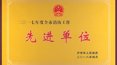 2017年度全市消防工作先進單位